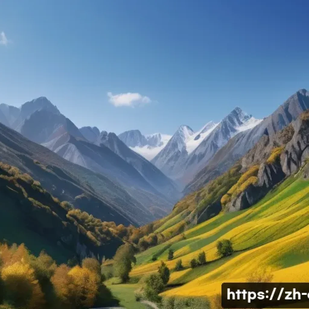 CFA와 금융 교육의 필요성 관련 이미지 1