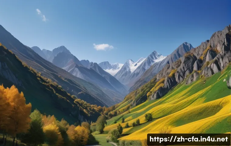 CFA와 금융 교육의 필요성 관련 이미지 1